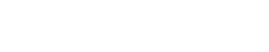 Digital Dynamics Logo Digital Dynamics Logo